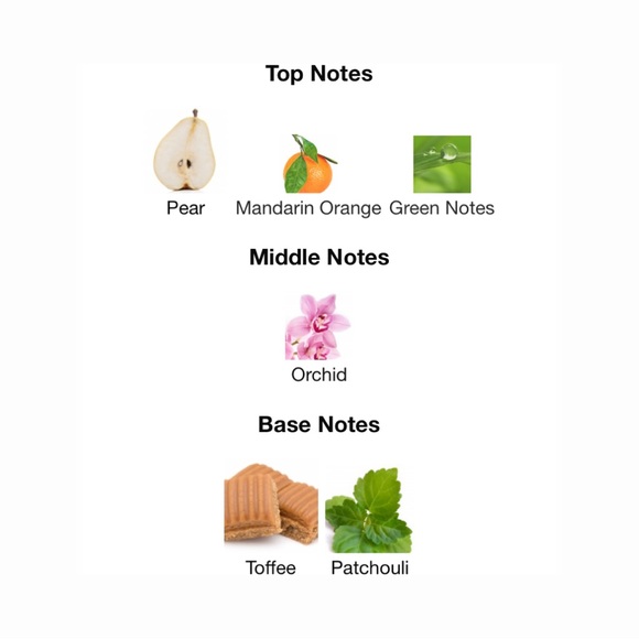 JIMMY CHOO & JIMMY CHOO Fever Eau de Parfum with Pouch - .25 fl oz ea. - Picture 7 of 12